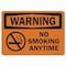 Signmission OSHA Warning Decal, No Smoking Anytime, 10in X 7in Decal, 7" W, 10" L, Landscape OS-WS-D-710-L-19694 - alternate 1